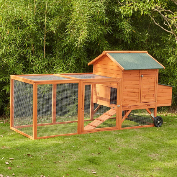 Tucker Murphy Pet™ Chiadi 21.3 Square Feet Chicken Coop For Up To 5